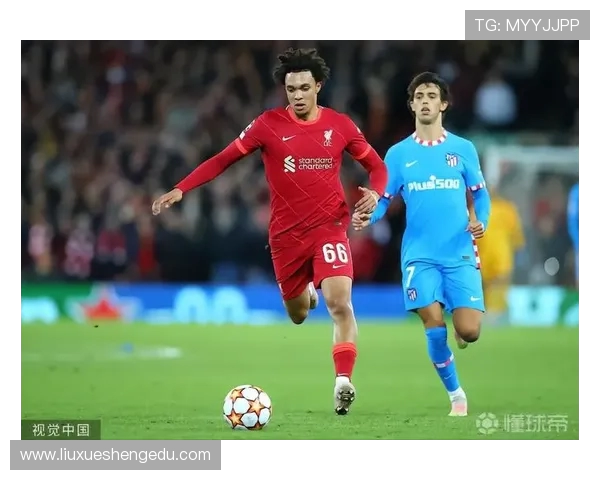 上海篮球队配合默契创历史新高引发热议与期待